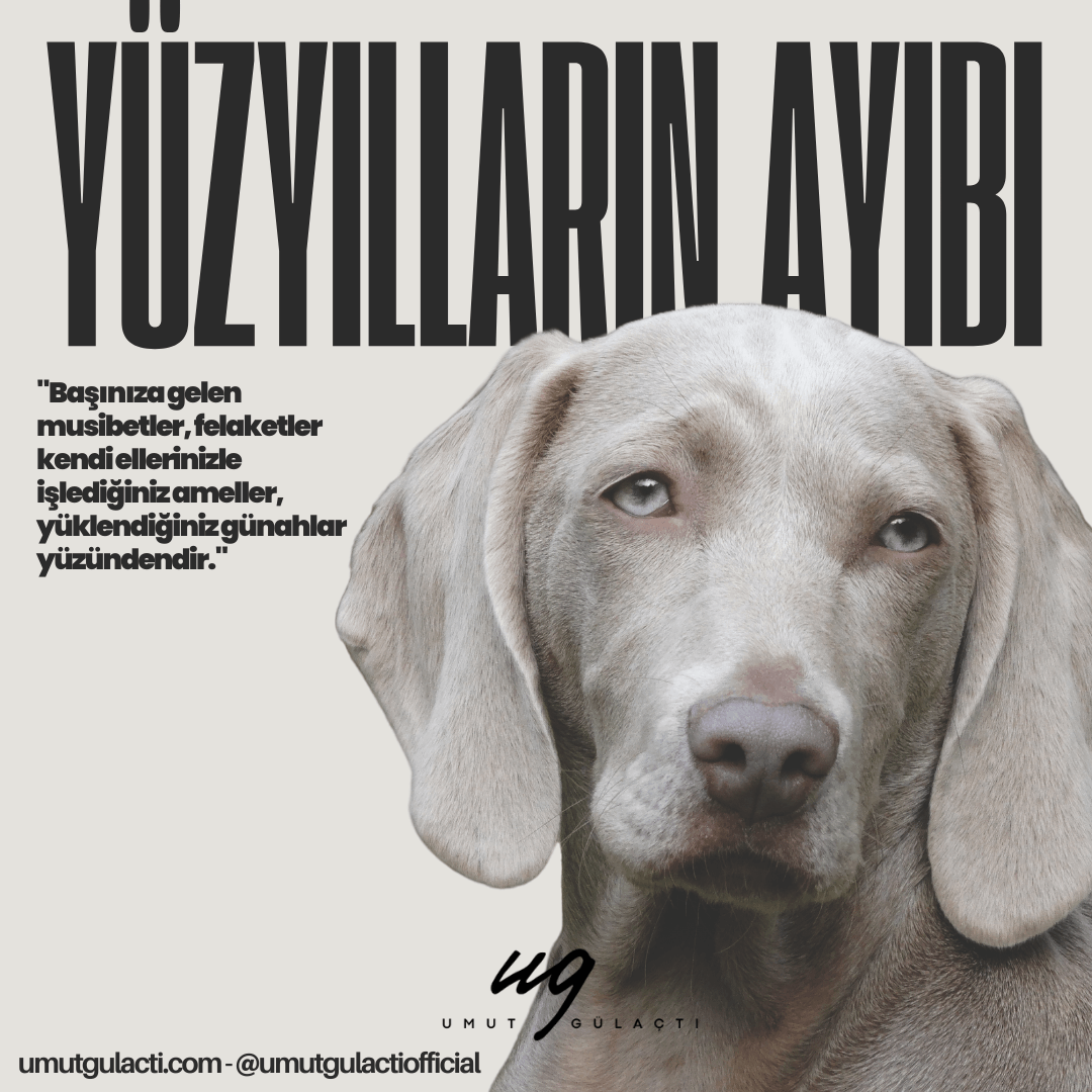 Köpek Katliamı: Hayırsız Ada