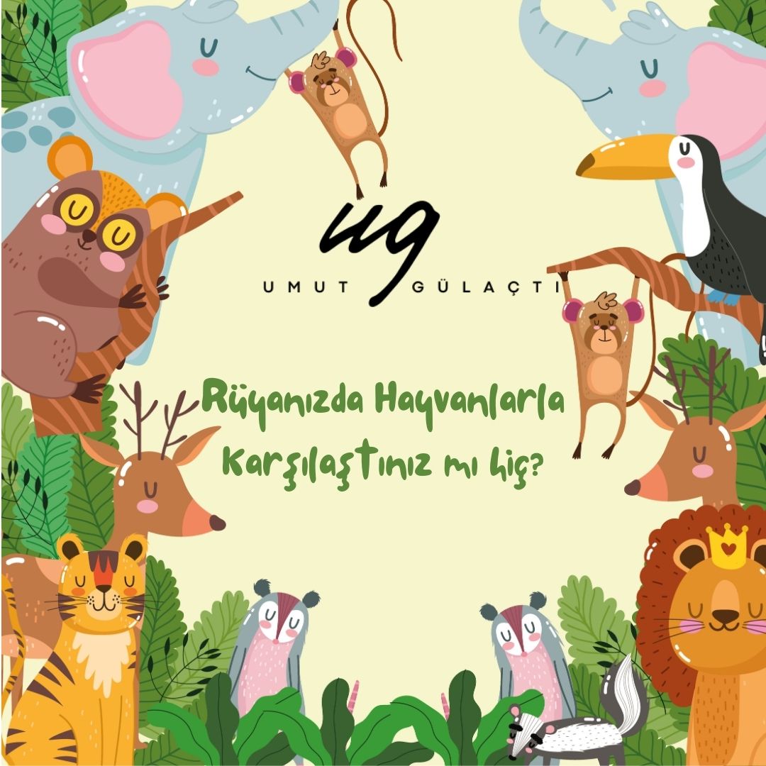 Rüyada Hayvan Görmek