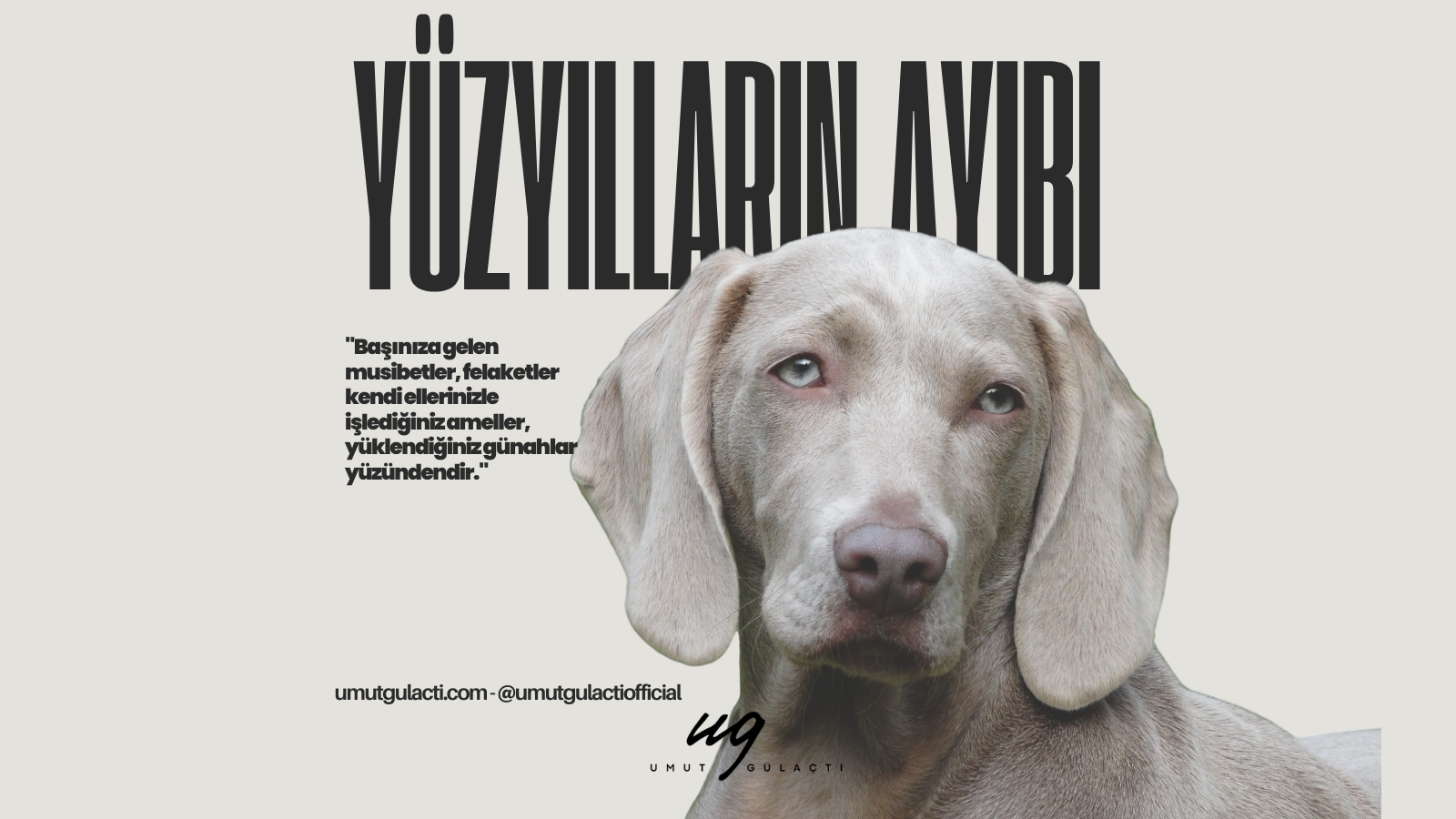 Köpek Katliamı: Hayırsız Ada Köpek Katliamı: Hayırsız Ada