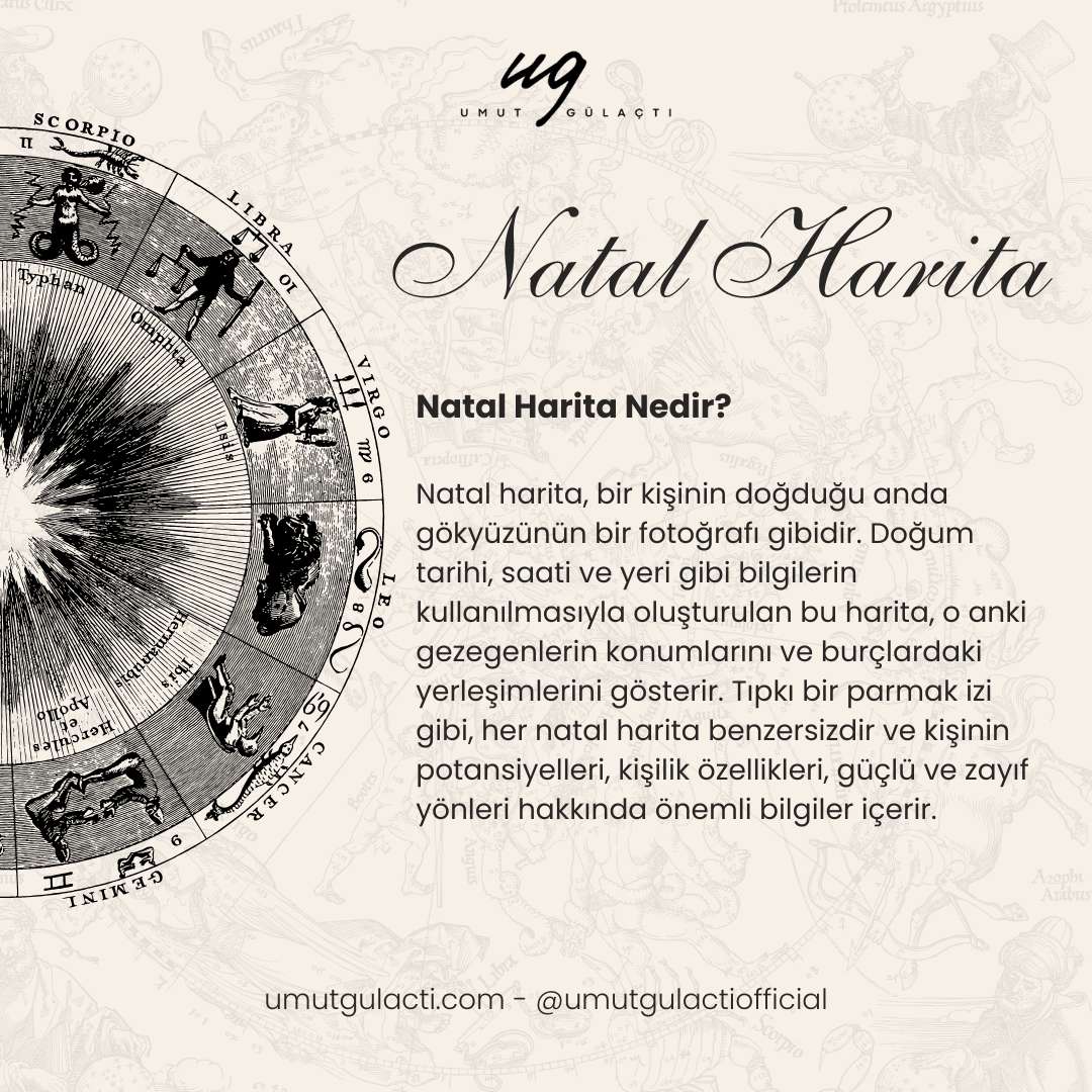 Natal Harita Nedir?