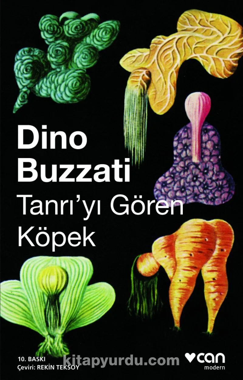 Tanrı'yı Gören Köpek